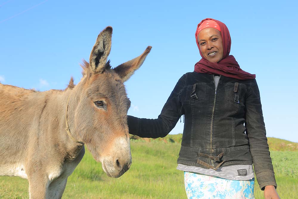 Frau in Äthiopien mit Esel auf grüner Wiese