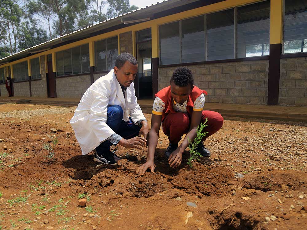 Ein Lehrer und ein Schüler pflanzen einen Baum