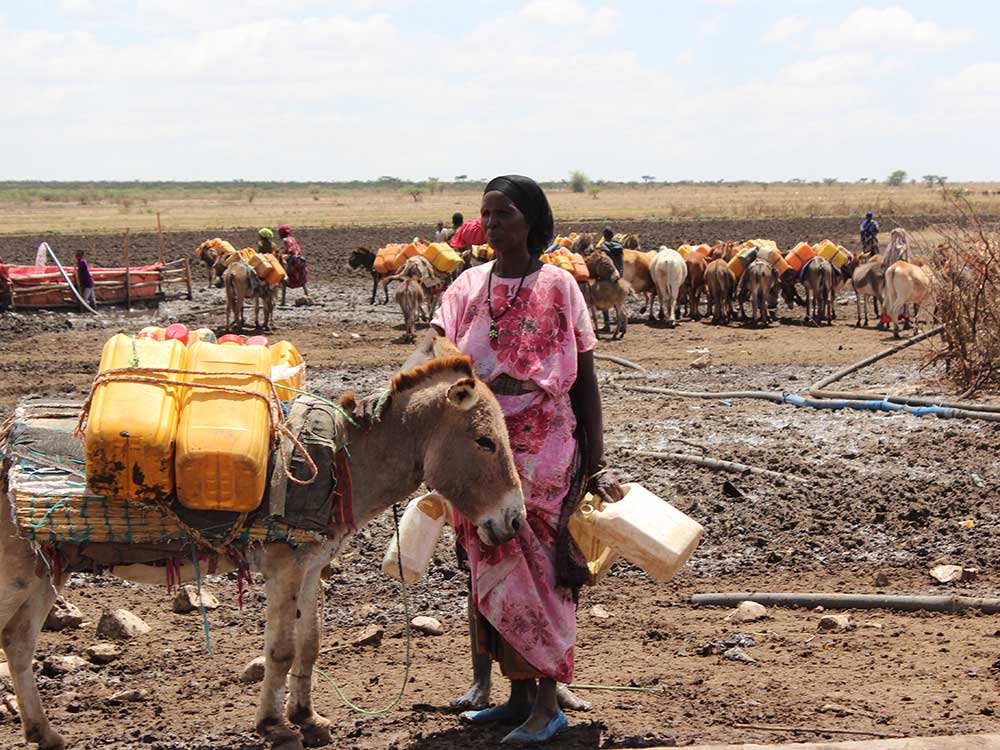 Eine äthiopische Frau mit einem Esel, der vier gelbe Wasserkanister auf dem Rücken trägt. Im Hintergrund sind noch etwa zwei Dutzend Esel mit Wasserkanister am Rücken zu sehen.