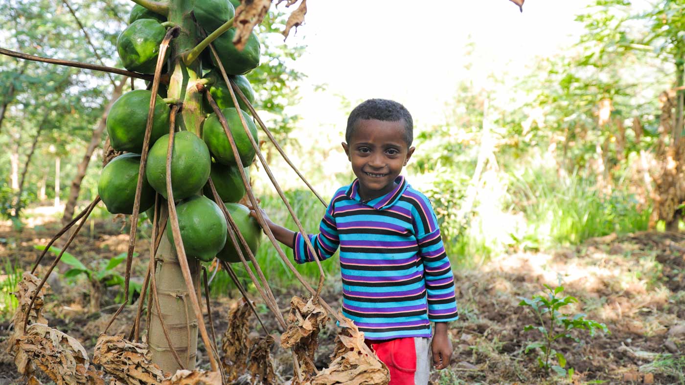 Junge im Garten mit Papaya Baum