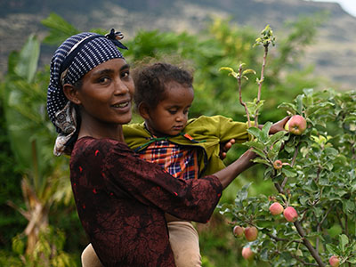 Eine Mutter hält ihre kleine Tochter am Arm, die ein Apfel pflückt