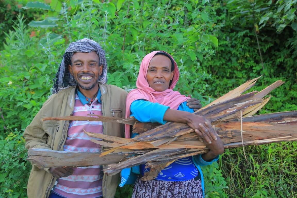 Bewohner Äthiopiens, die Holz als Brennmaterial in Händen halten